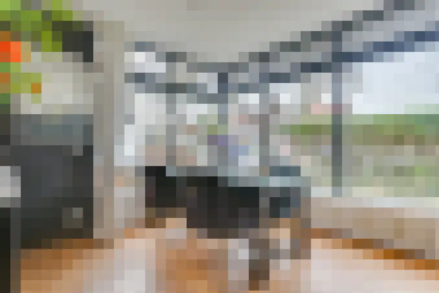 Heiligland 65 Alkmaar thumbnail 14