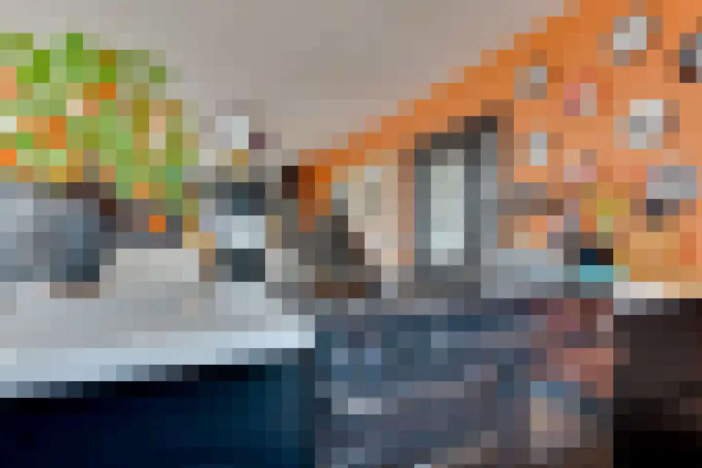 Heiligland 65 Alkmaar thumbnail 18