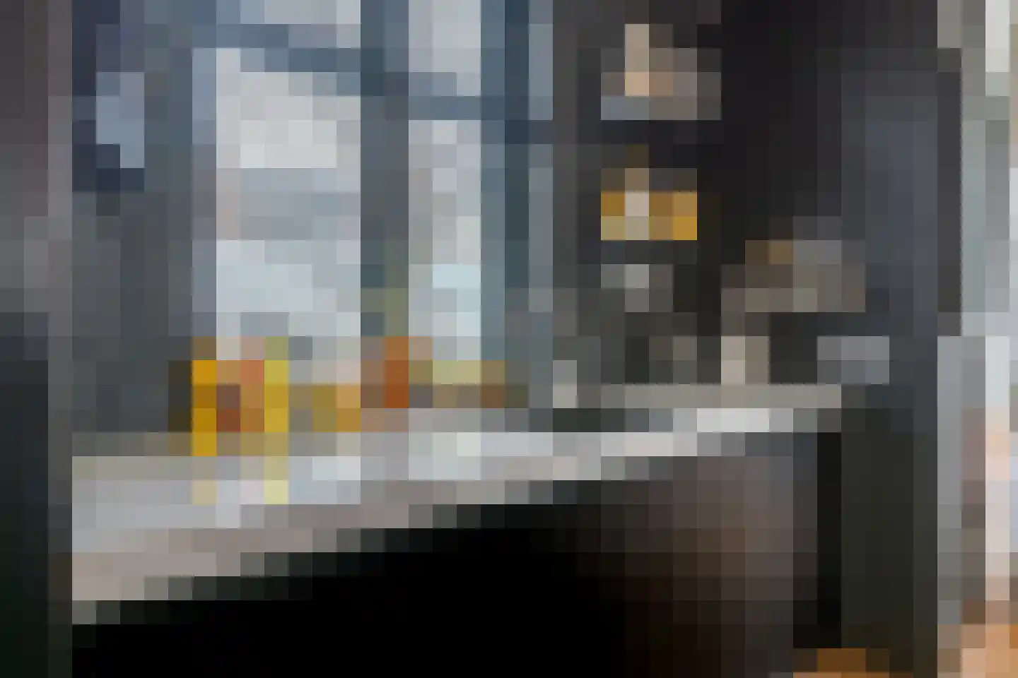 Heiligland 65 Alkmaar thumbnail 19