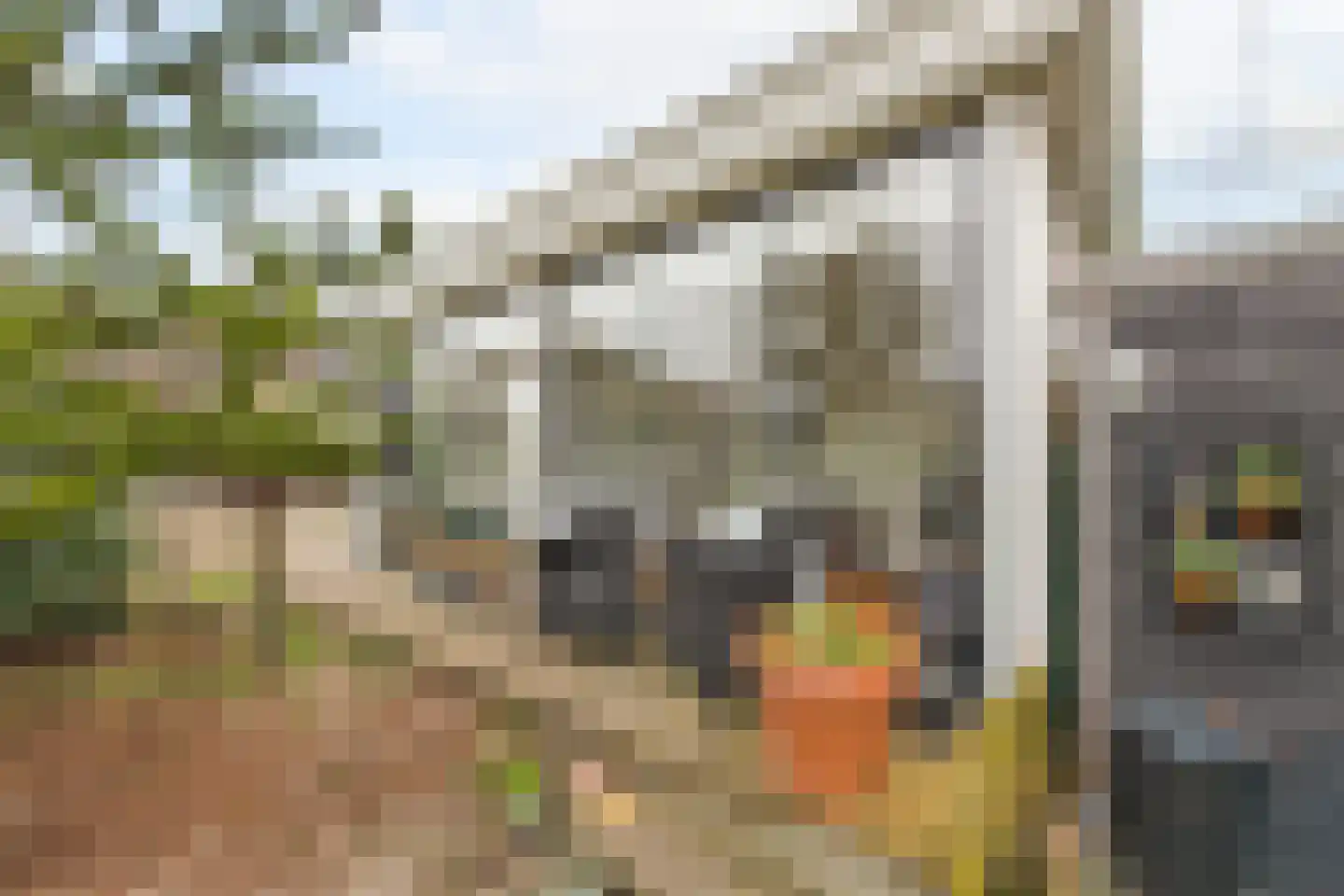 Heiligland 65 Alkmaar thumbnail 37
