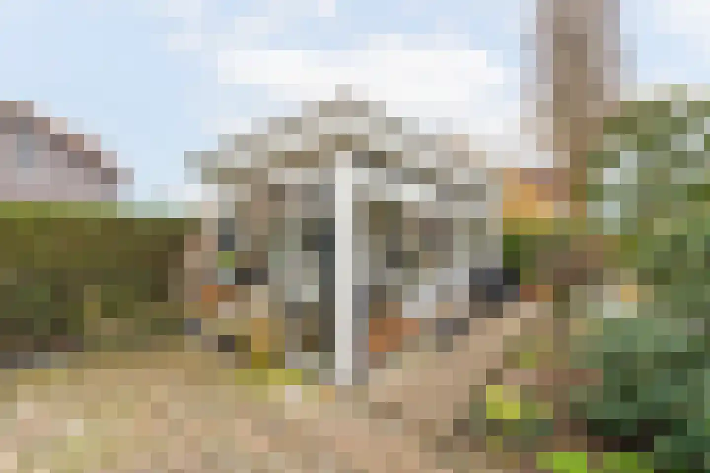 Heiligland 65 Alkmaar thumbnail 38
