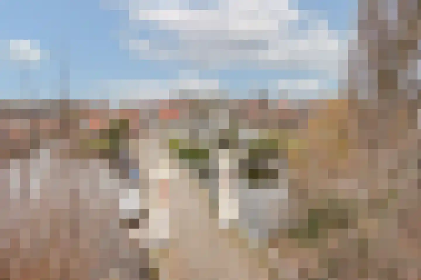 Heiligland 65 Alkmaar thumbnail 4