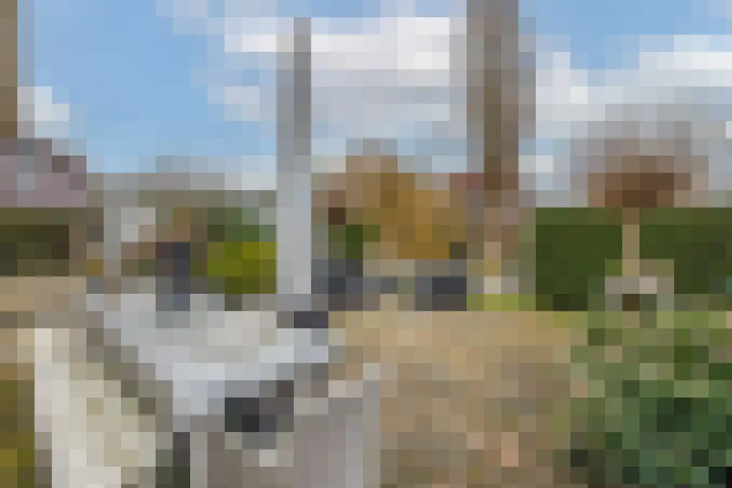 Heiligland 65 Alkmaar thumbnail 48