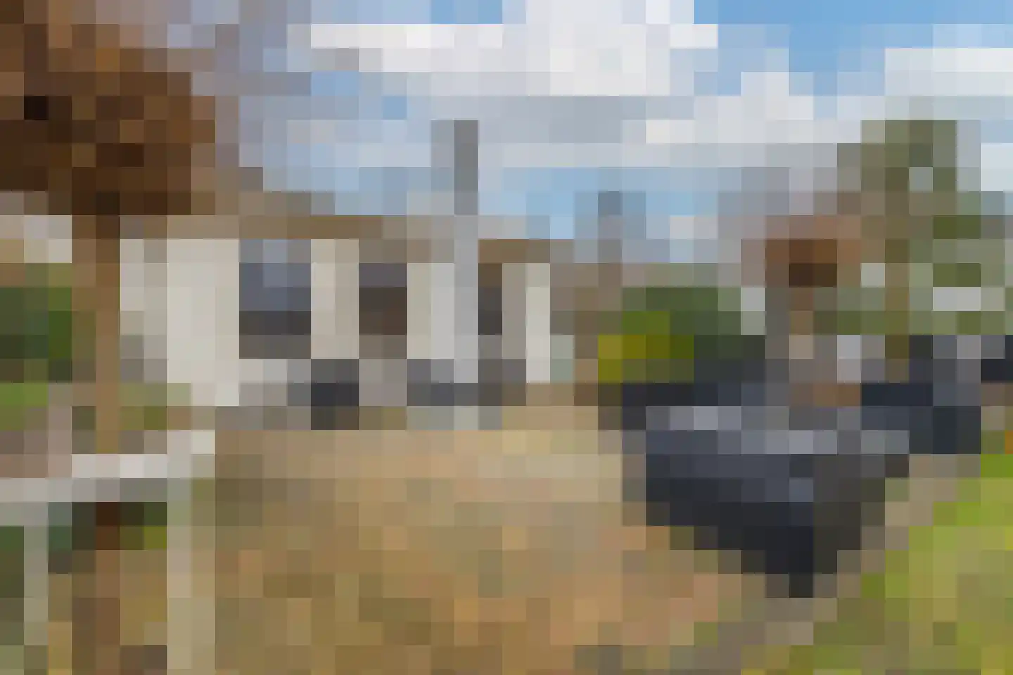 Heiligland 65 Alkmaar thumbnail 52