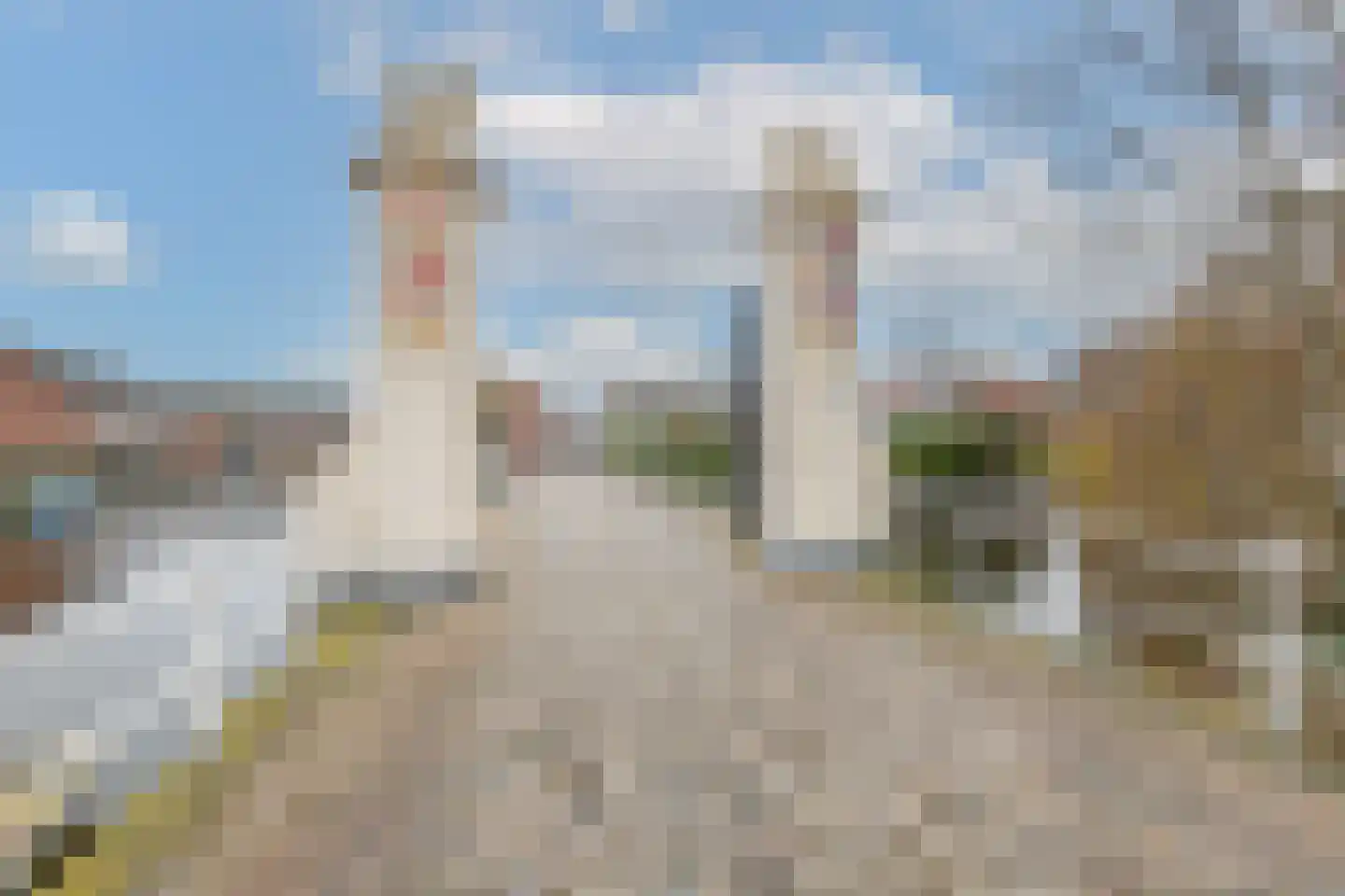 Heiligland 65 Alkmaar thumbnail 55