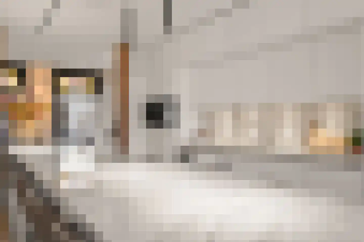 Heiliglevenstraat 5 Montfoort thumbnail 40