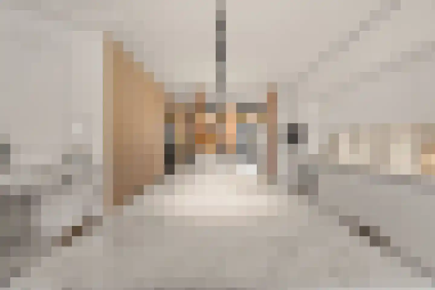 Heiliglevenstraat 5 Montfoort thumbnail 41