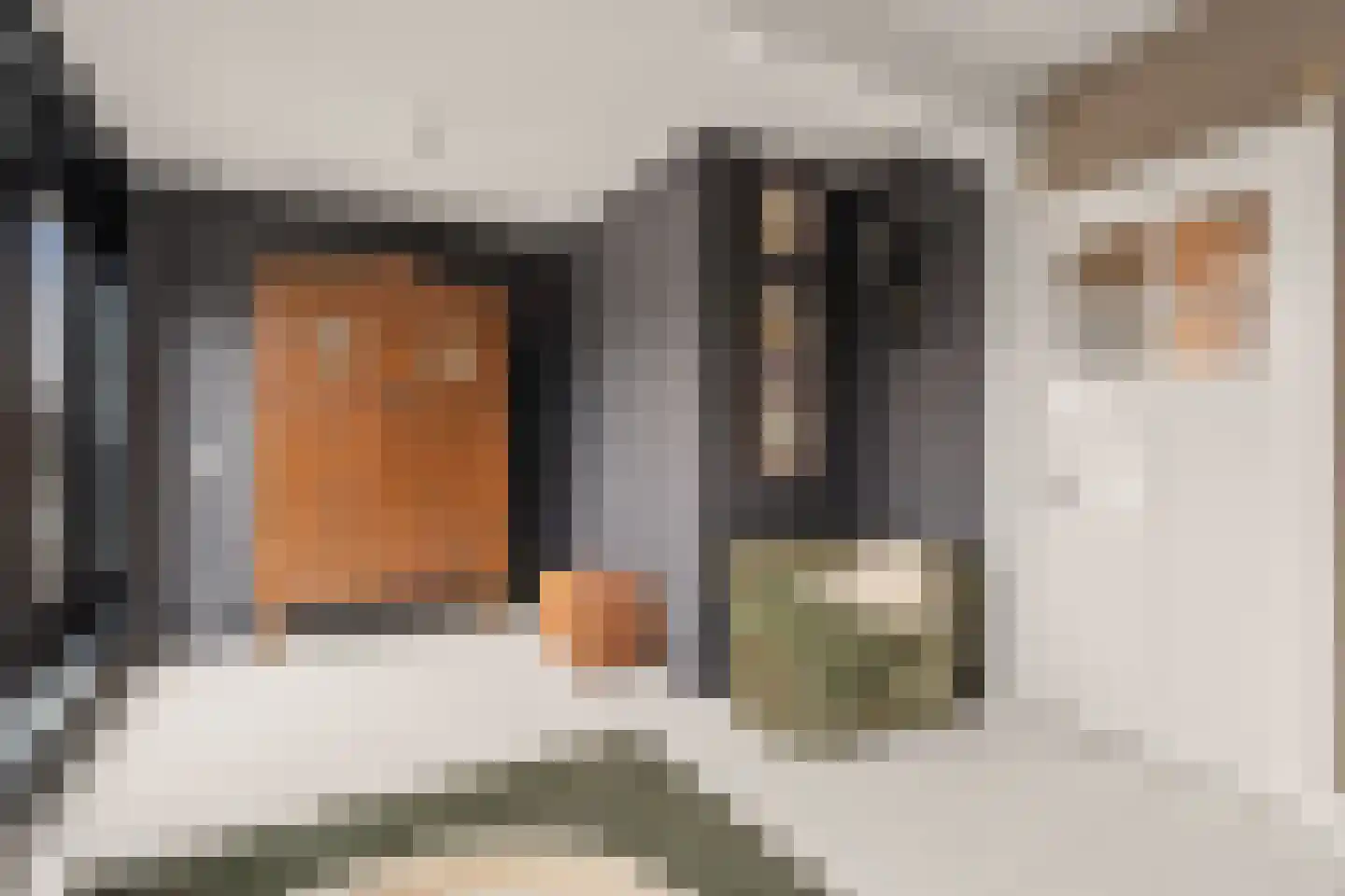 Heiliglevenstraat 5 Montfoort thumbnail 75