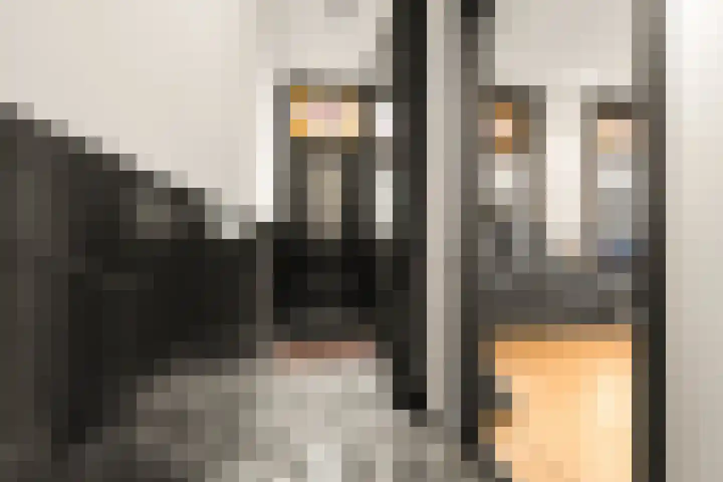 Heiliglevenstraat 5 Montfoort thumbnail 8