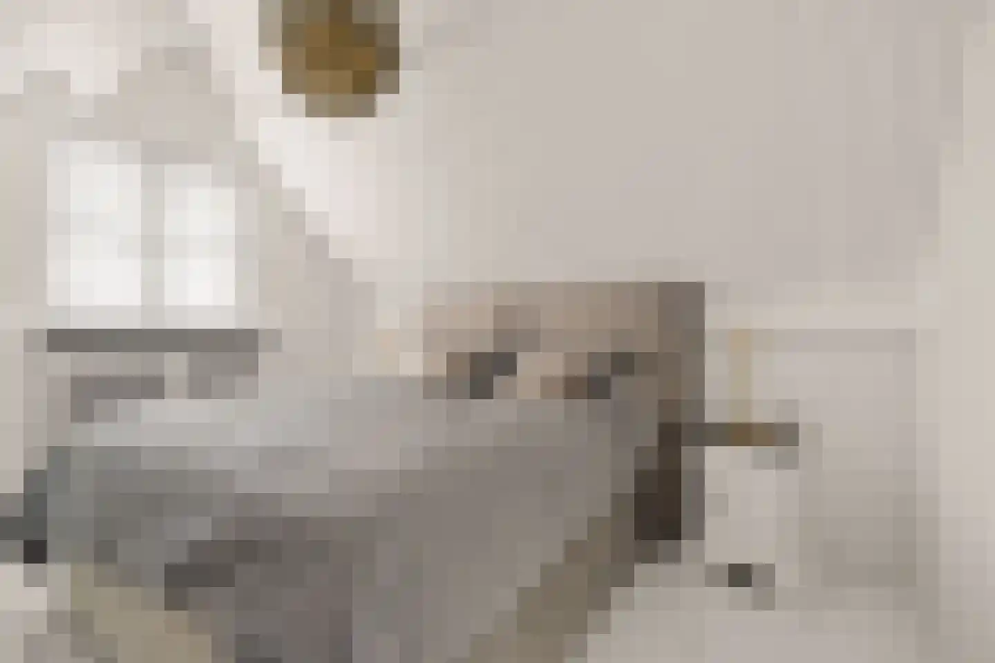Heiliglevenstraat 5 Montfoort thumbnail 85