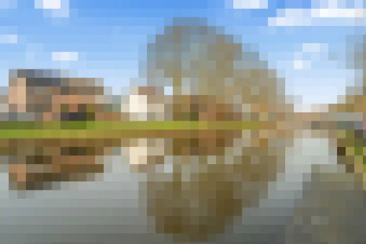 Heiliglevenstraat 5 Montfoort thumbnail 90