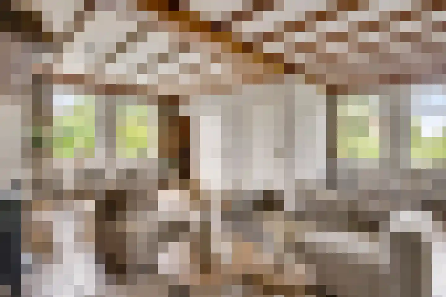 Heiligstraatje 9 Budel thumbnail 12