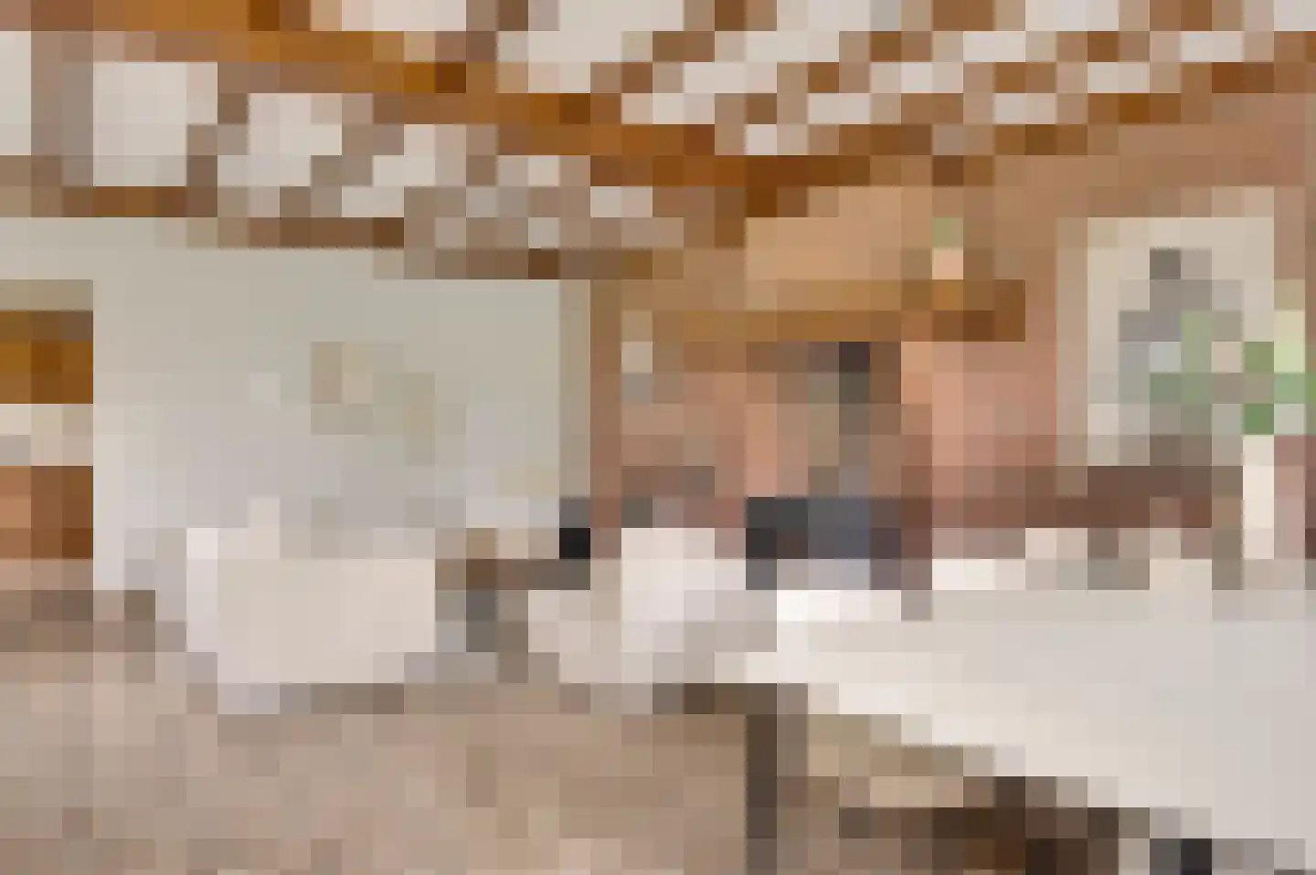 Heiligstraatje 9 Budel thumbnail 13