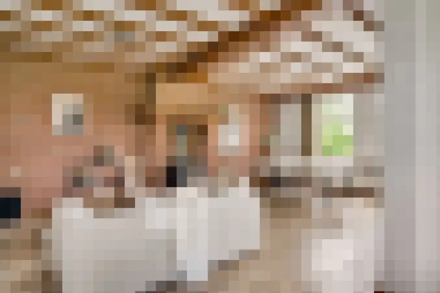 Heiligstraatje 9 Budel thumbnail 16