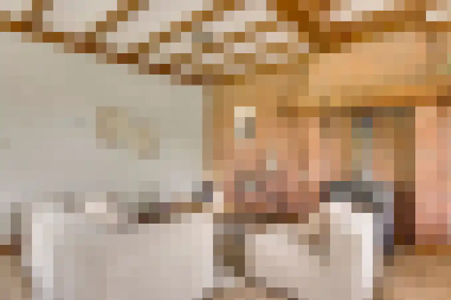 Heiligstraatje 9 Budel thumbnail 17