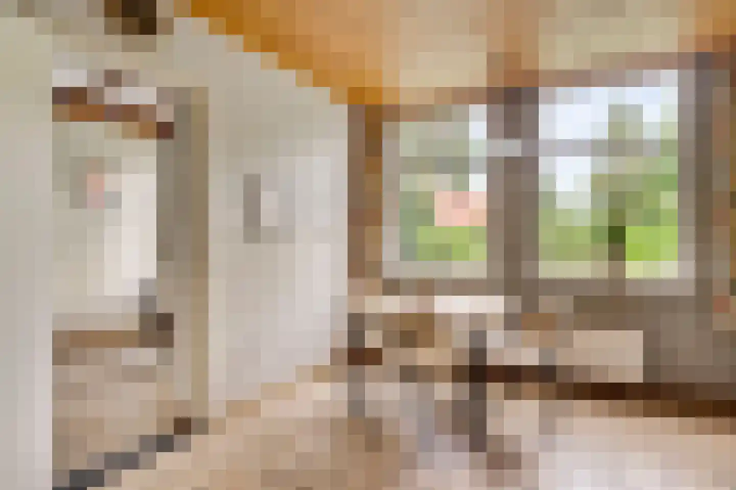 Heiligstraatje 9 Budel thumbnail 21