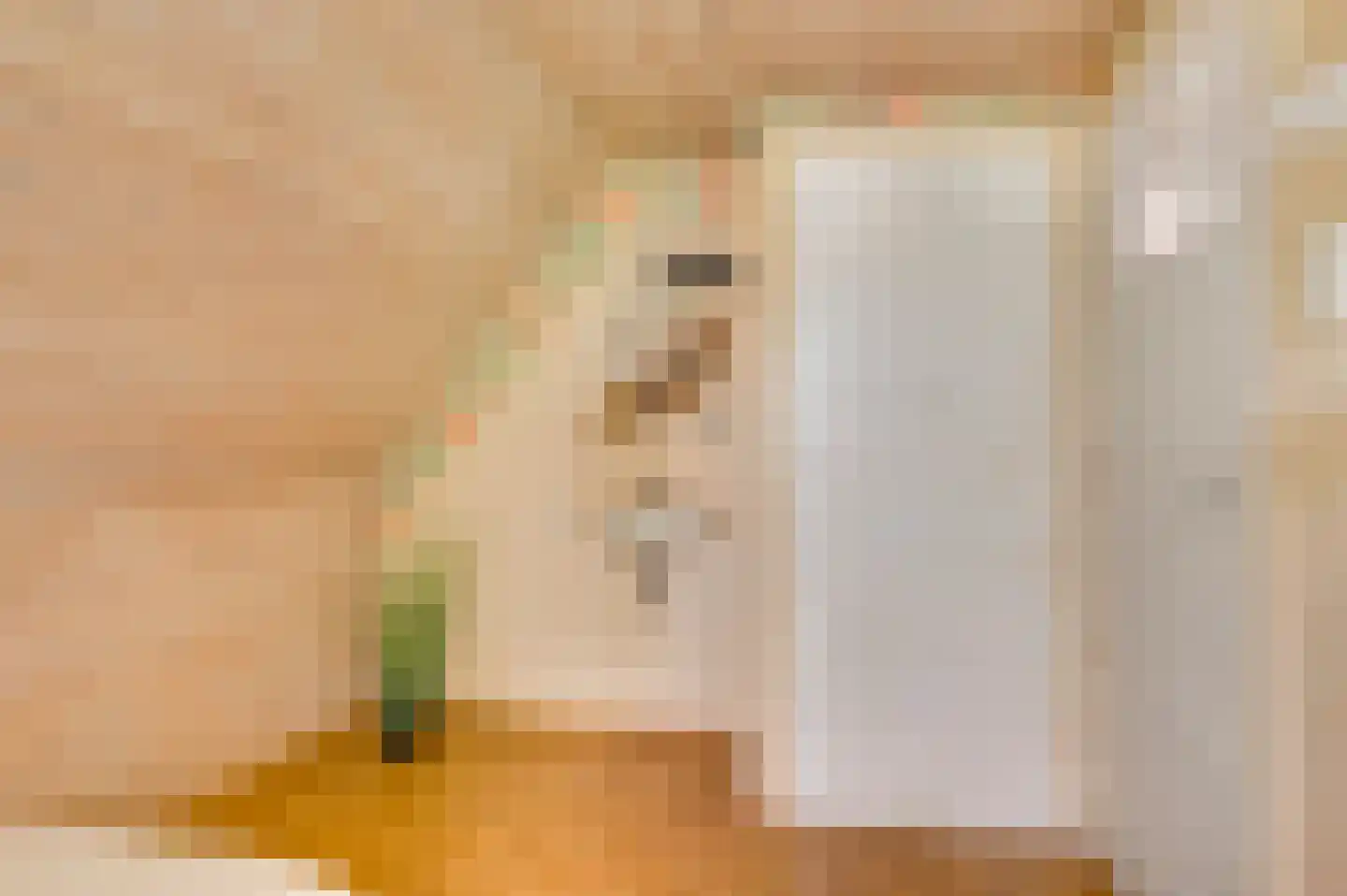 Heiligstraatje 9 Budel thumbnail 32