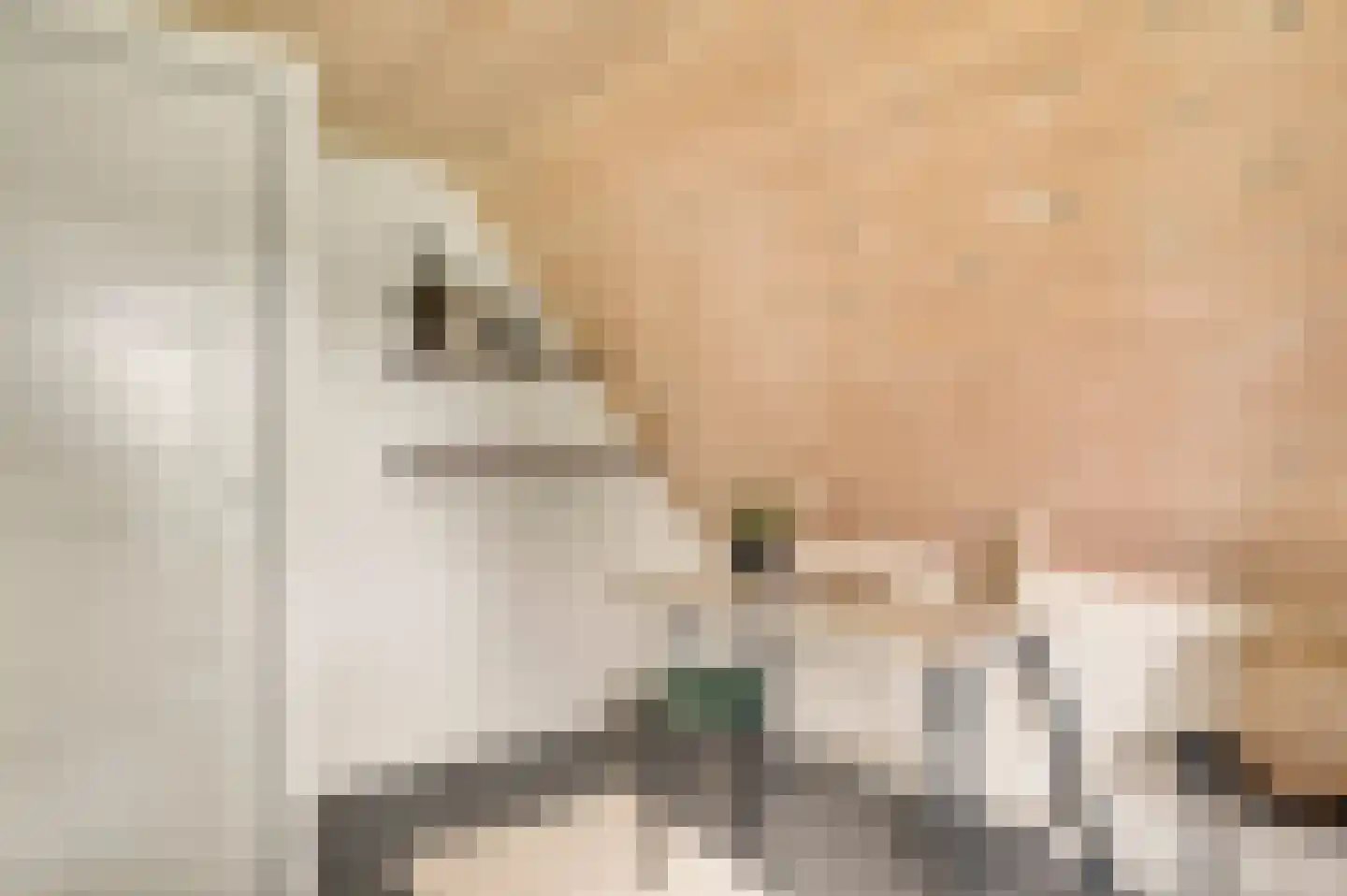 Heiligstraatje 9 Budel thumbnail 34