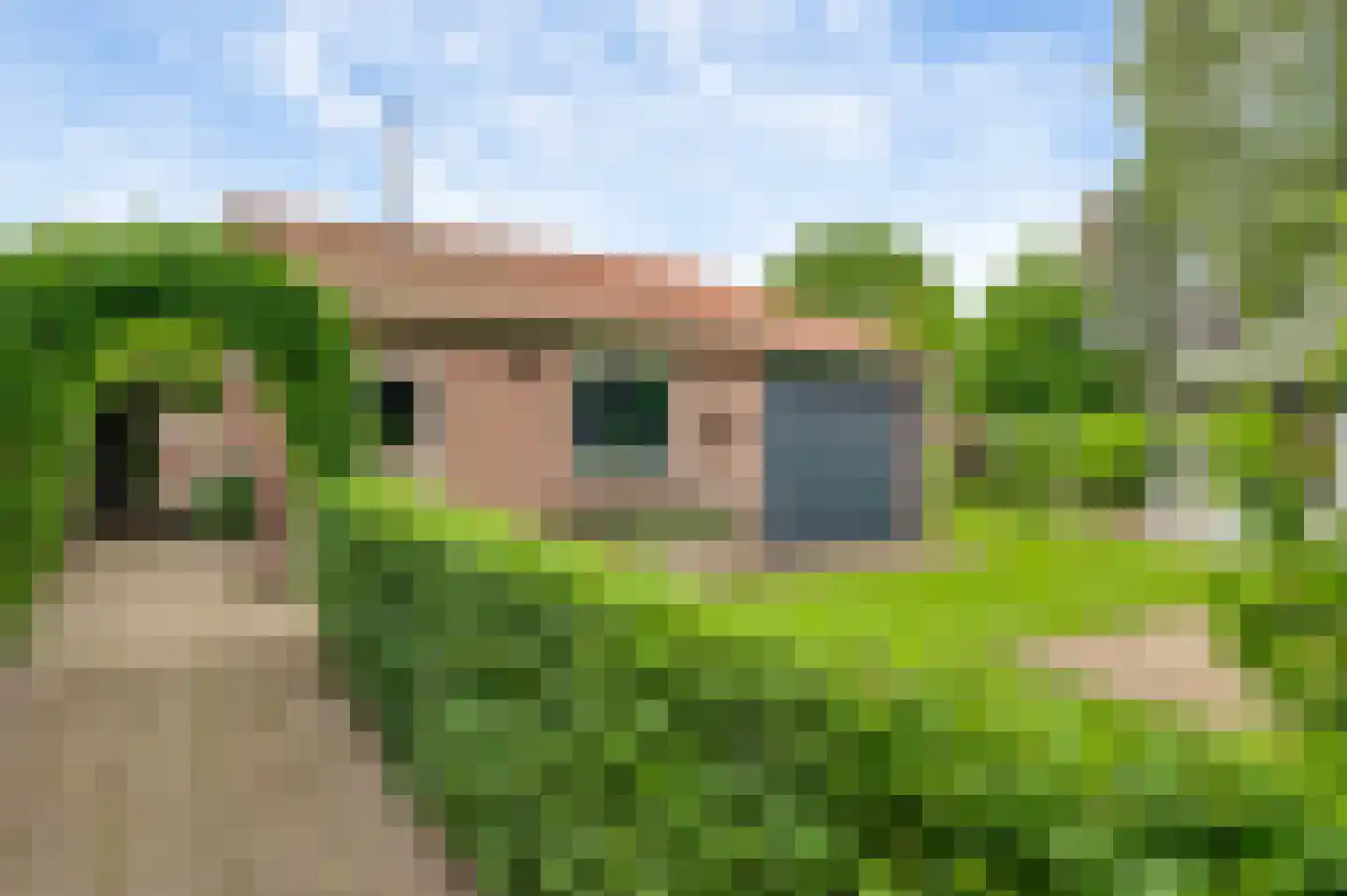 Heiligstraatje 9 Budel thumbnail 35