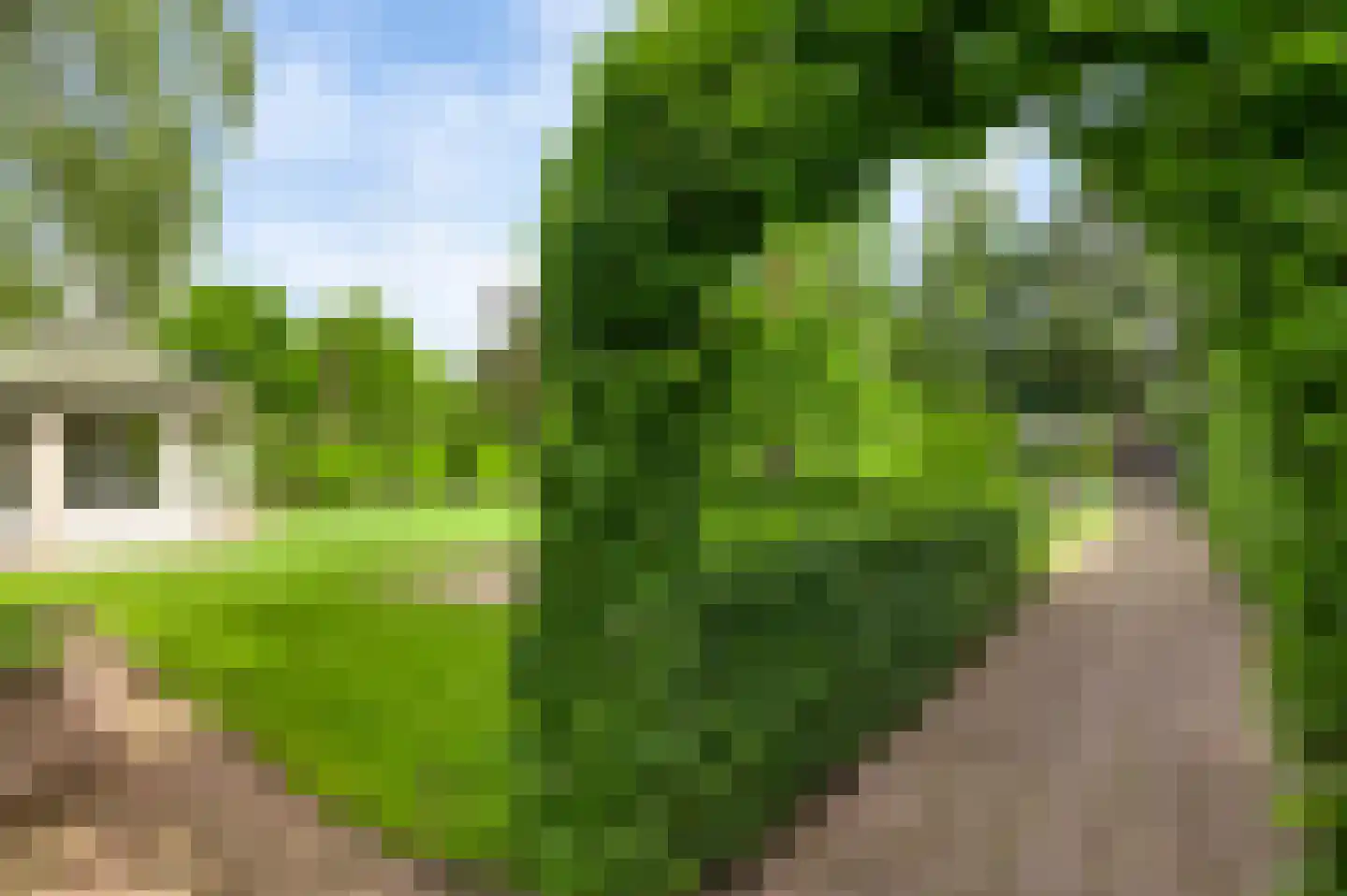 Heiligstraatje 9 Budel thumbnail 41