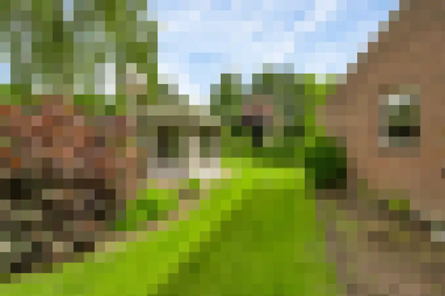 Heiligstraatje 9 Budel thumbnail 44