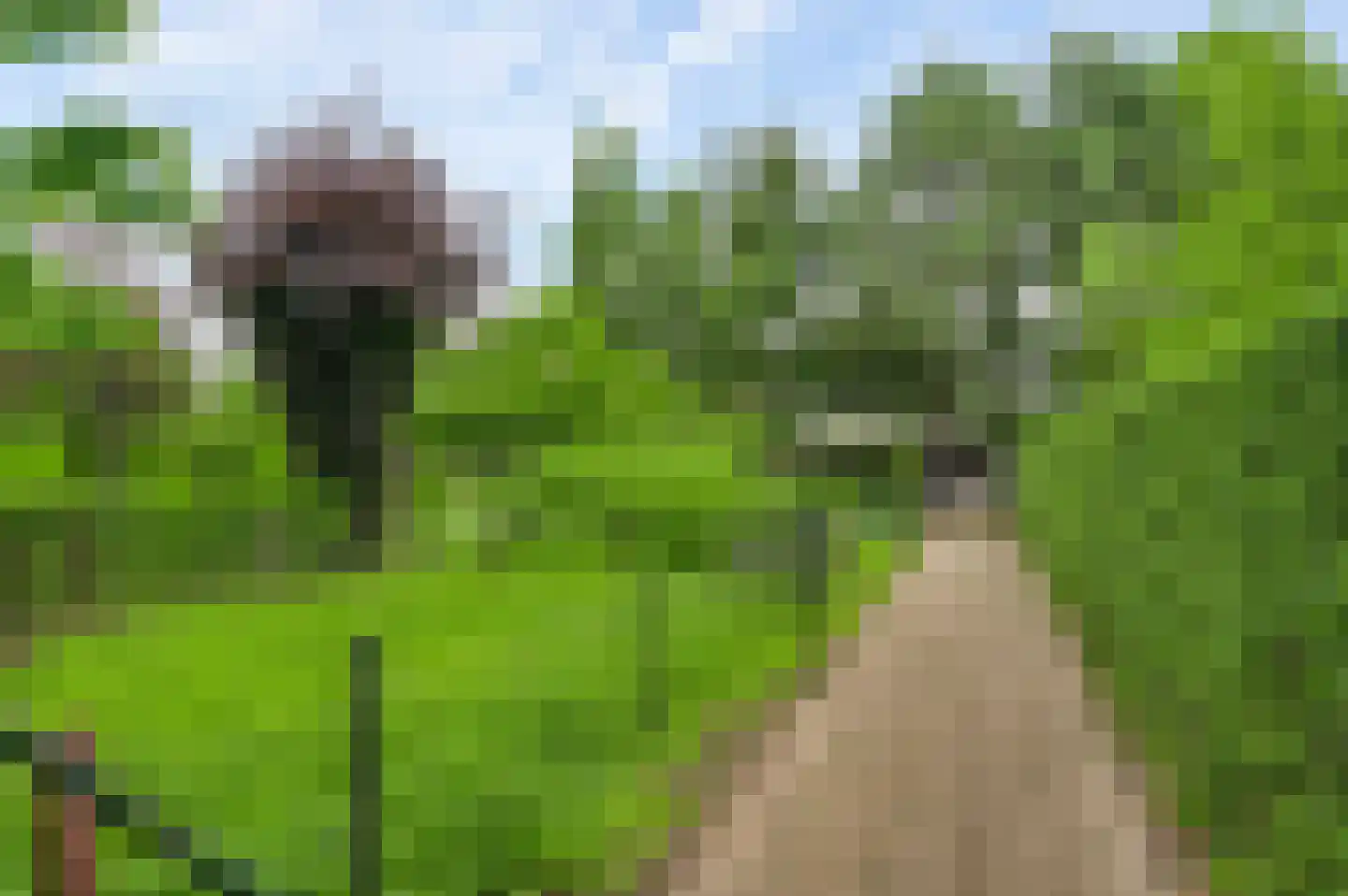 Heiligstraatje 9 Budel thumbnail 45