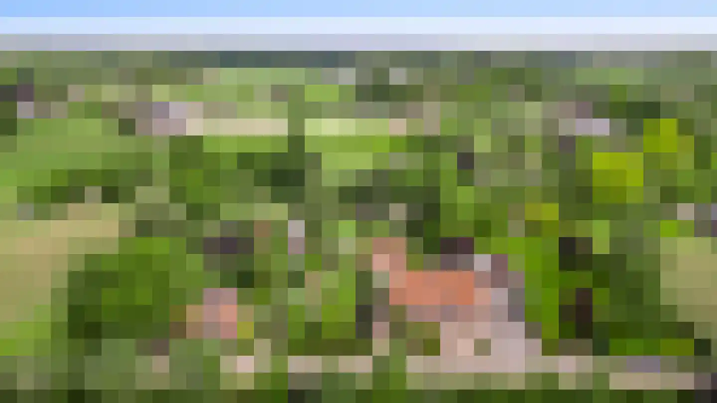 Heiligstraatje 9 Budel thumbnail 48