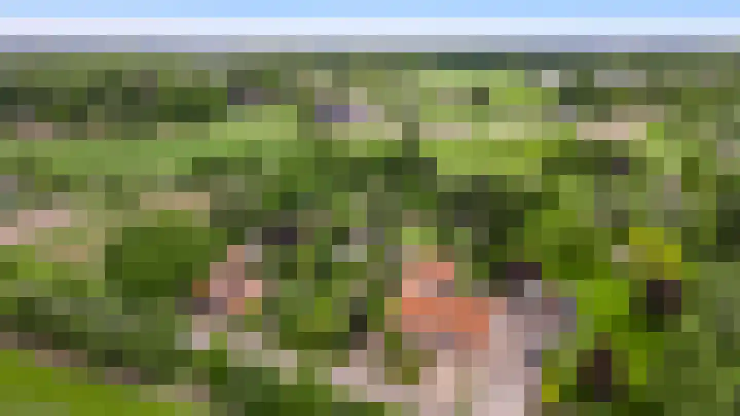 Heiligstraatje 9 Budel thumbnail 49