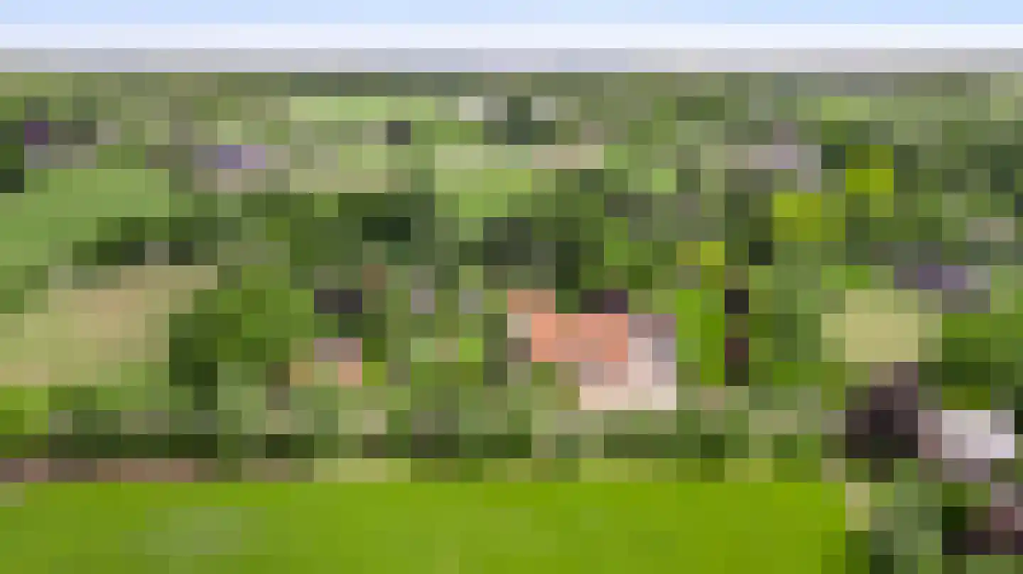 Heiligstraatje 9 Budel thumbnail 50
