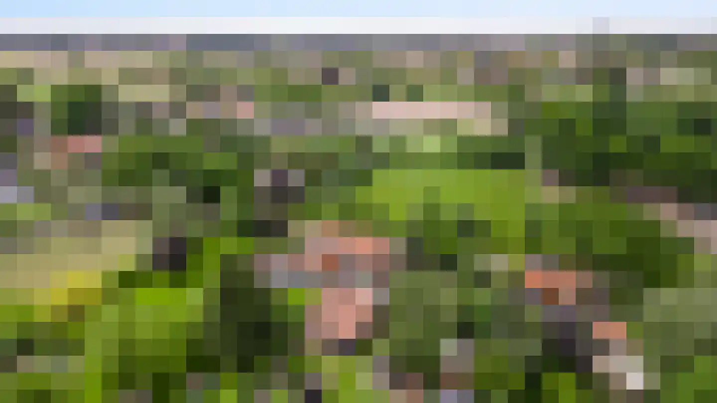 Heiligstraatje 9 Budel thumbnail 52