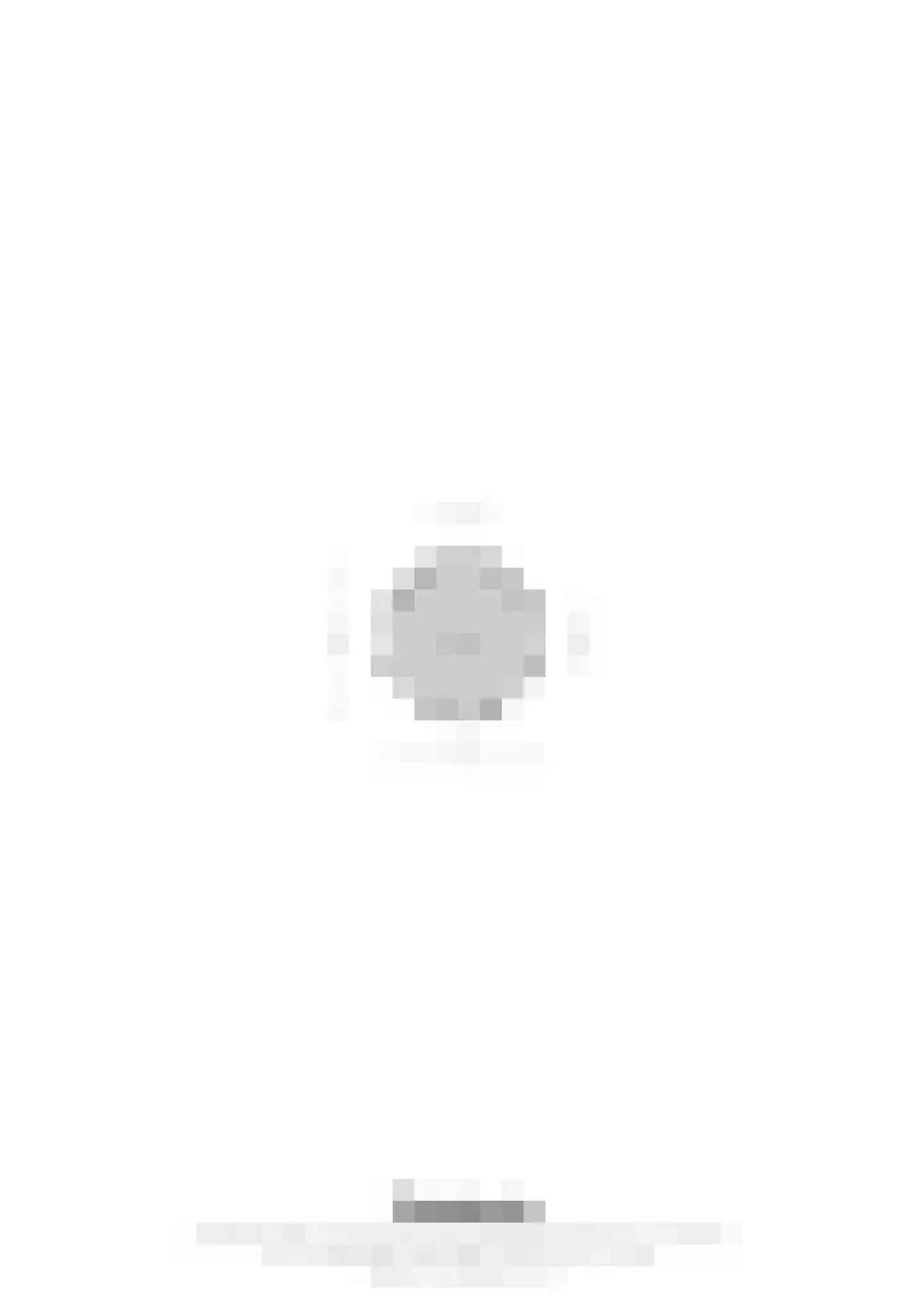 Heiligstraatje 9 Budel thumbnail 58