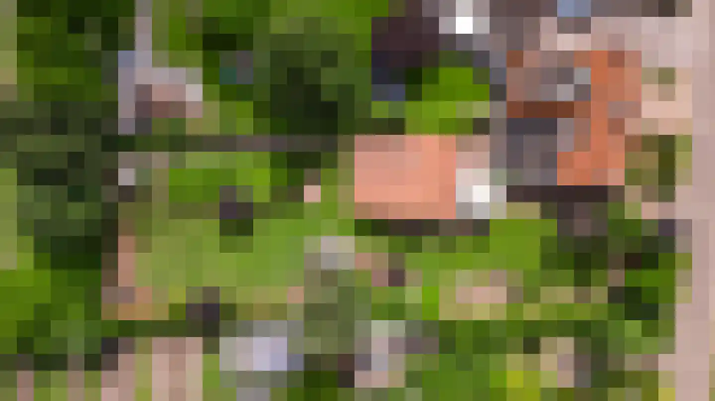 Heiligstraatje 9 Budel thumbnail 7