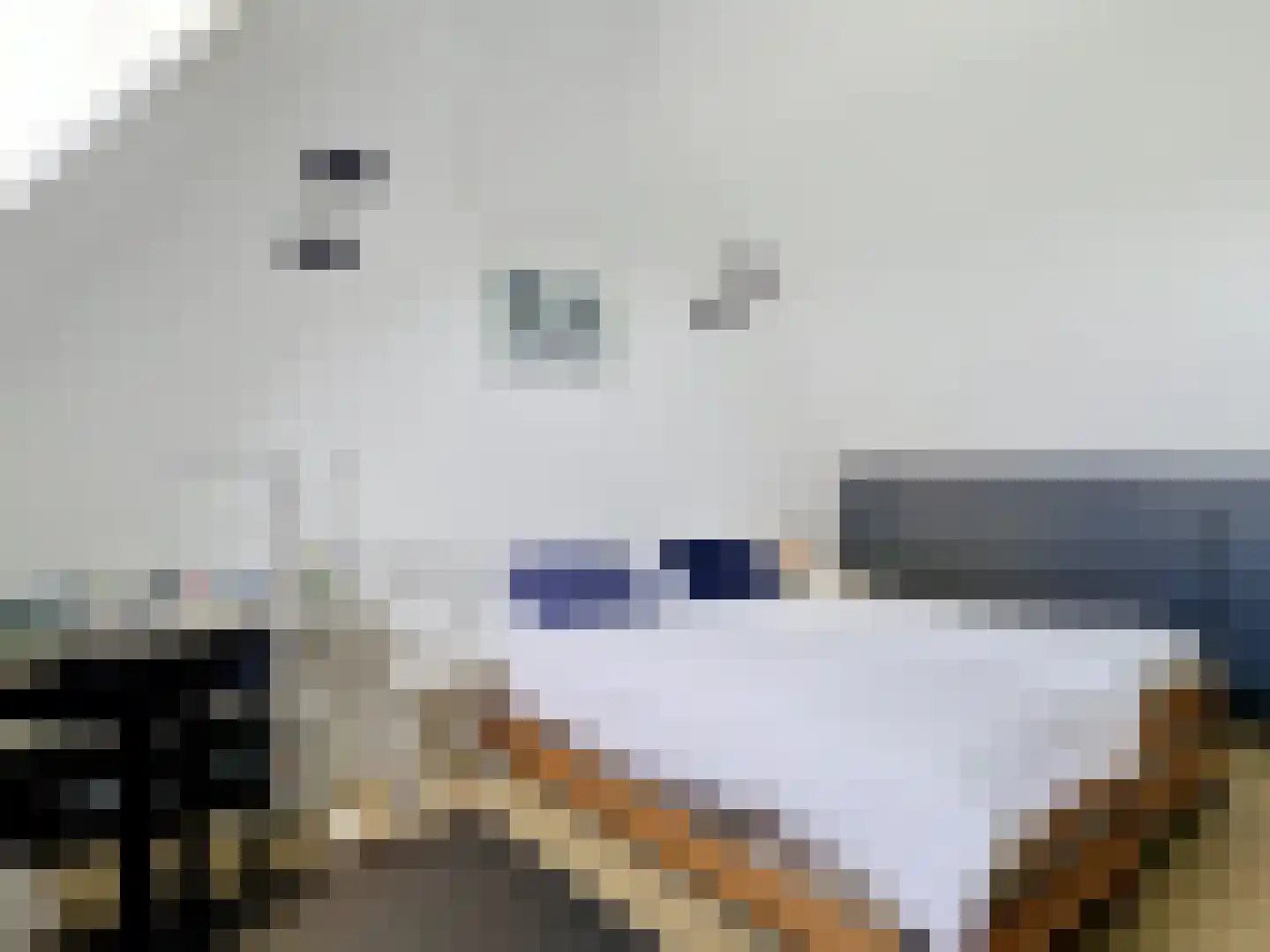 Heilleweg 12 Sluis thumbnail 28