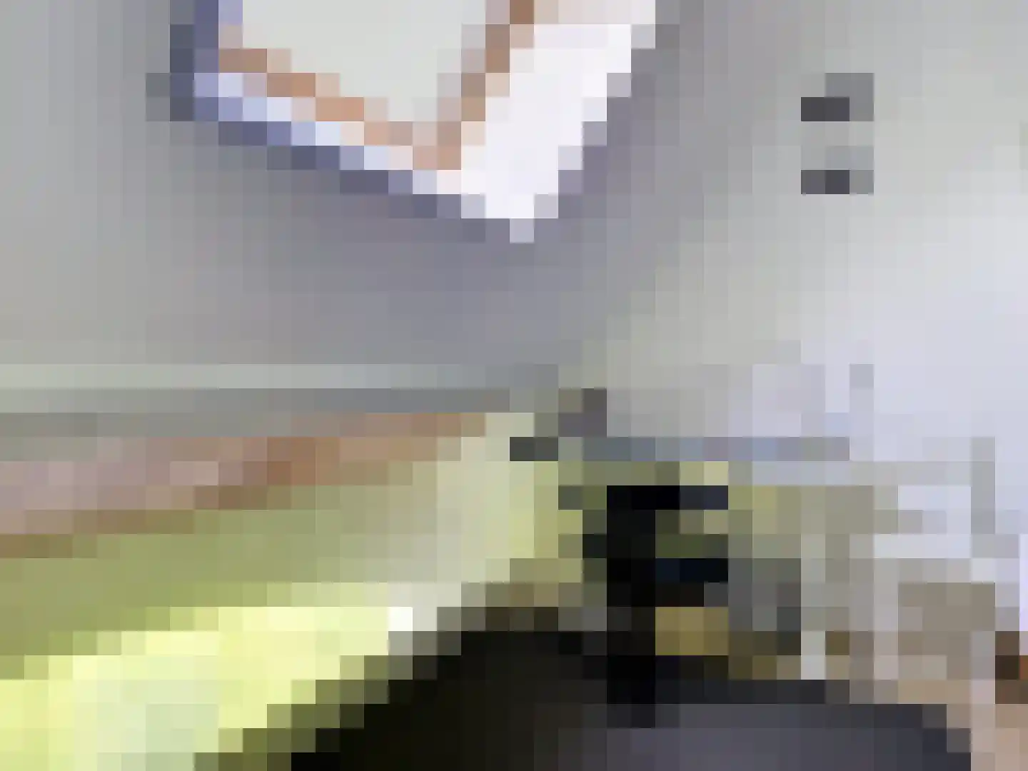 Heilleweg 12 Sluis thumbnail 29