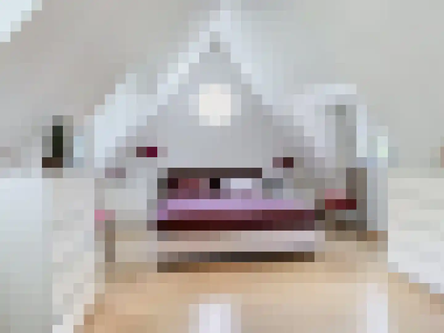 Heilleweg 12 Sluis thumbnail 32