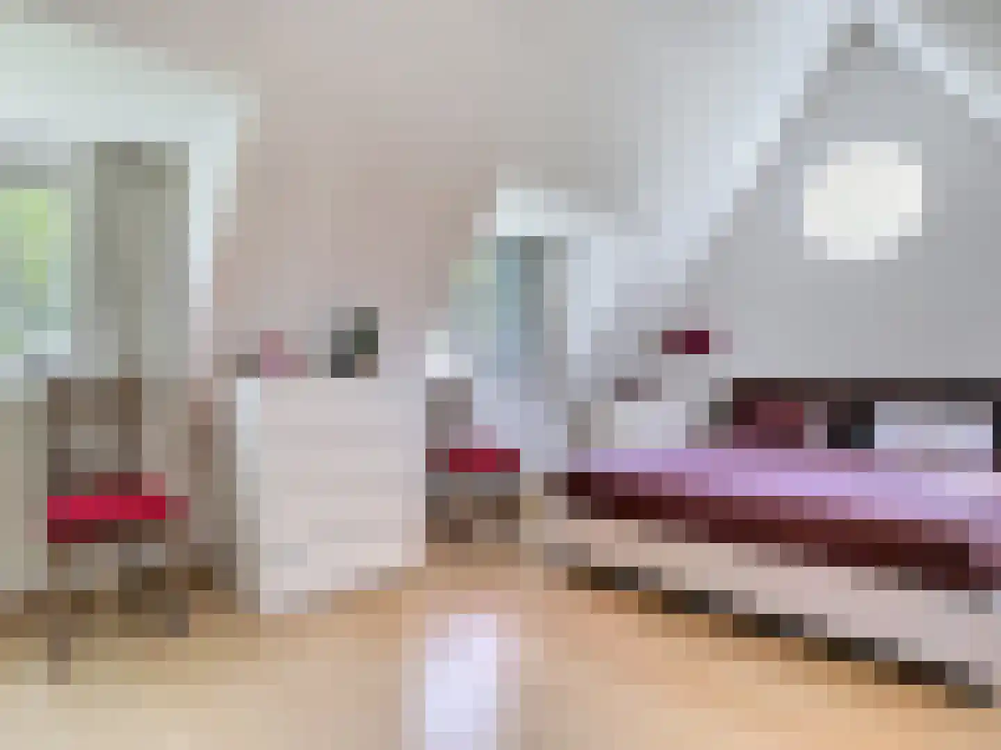 Heilleweg 12 Sluis thumbnail 33