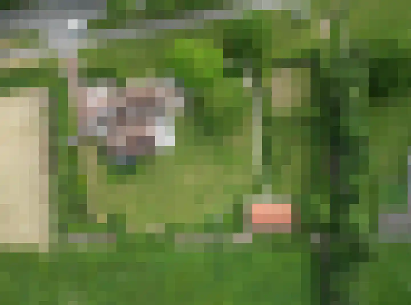 Heilleweg 12 Sluis thumbnail 48