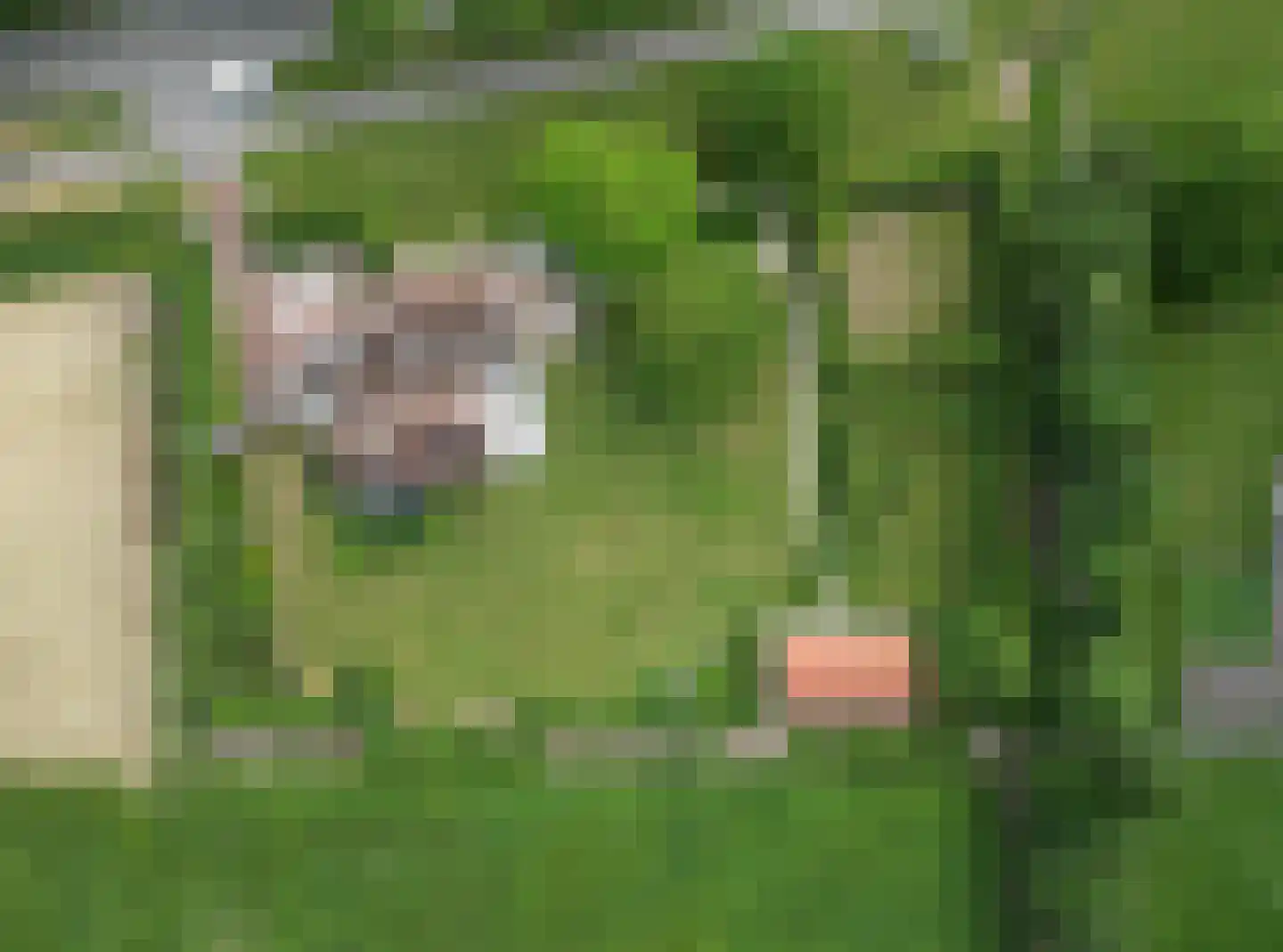 Heilleweg 12 Sluis thumbnail 48