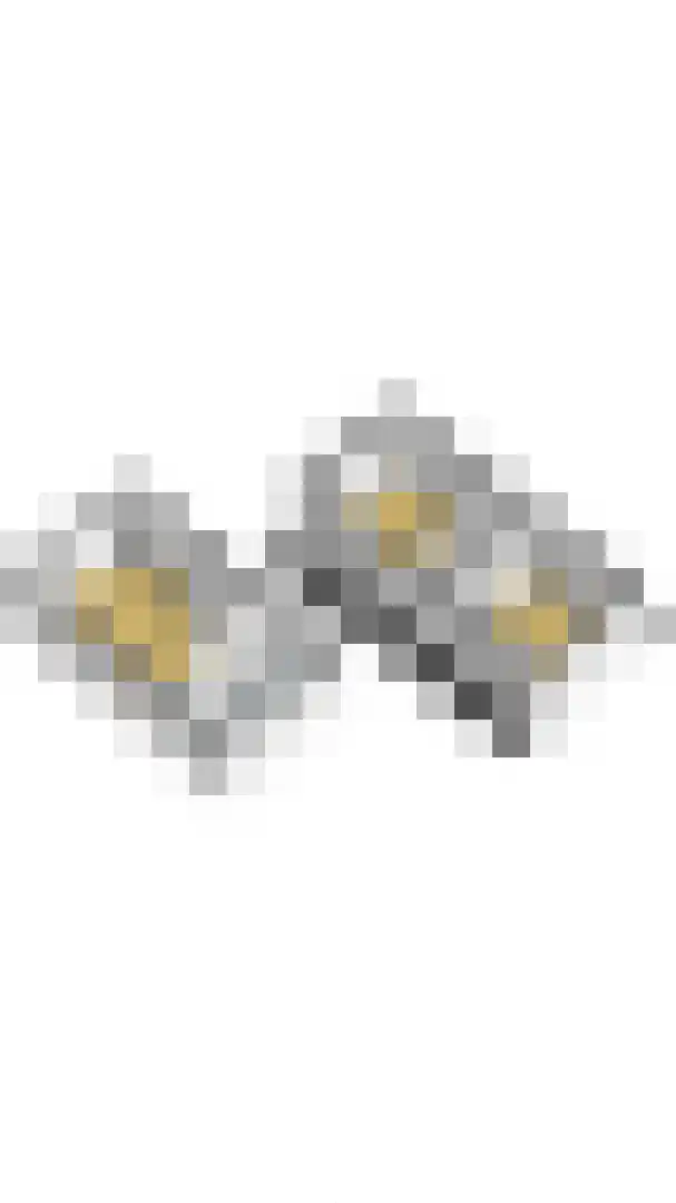 Heilleweg 12 Sluis thumbnail 52