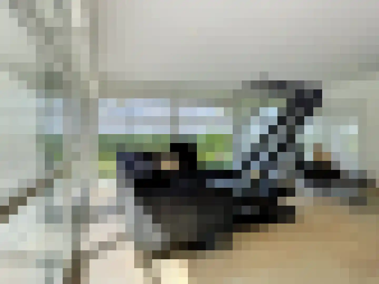 Heilleweg 12 Sluis thumbnail 9