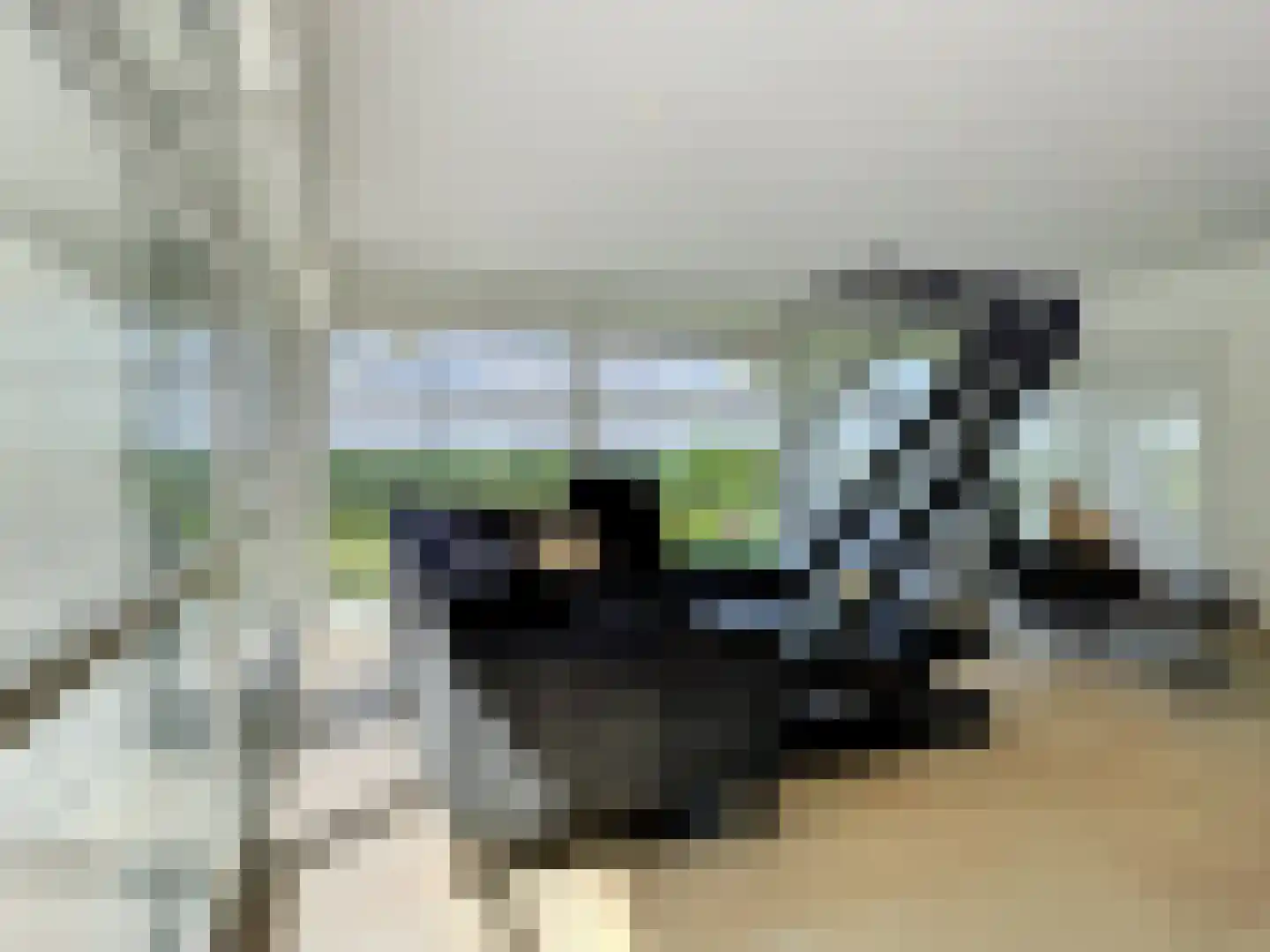 Heilleweg 12 Sluis thumbnail 9