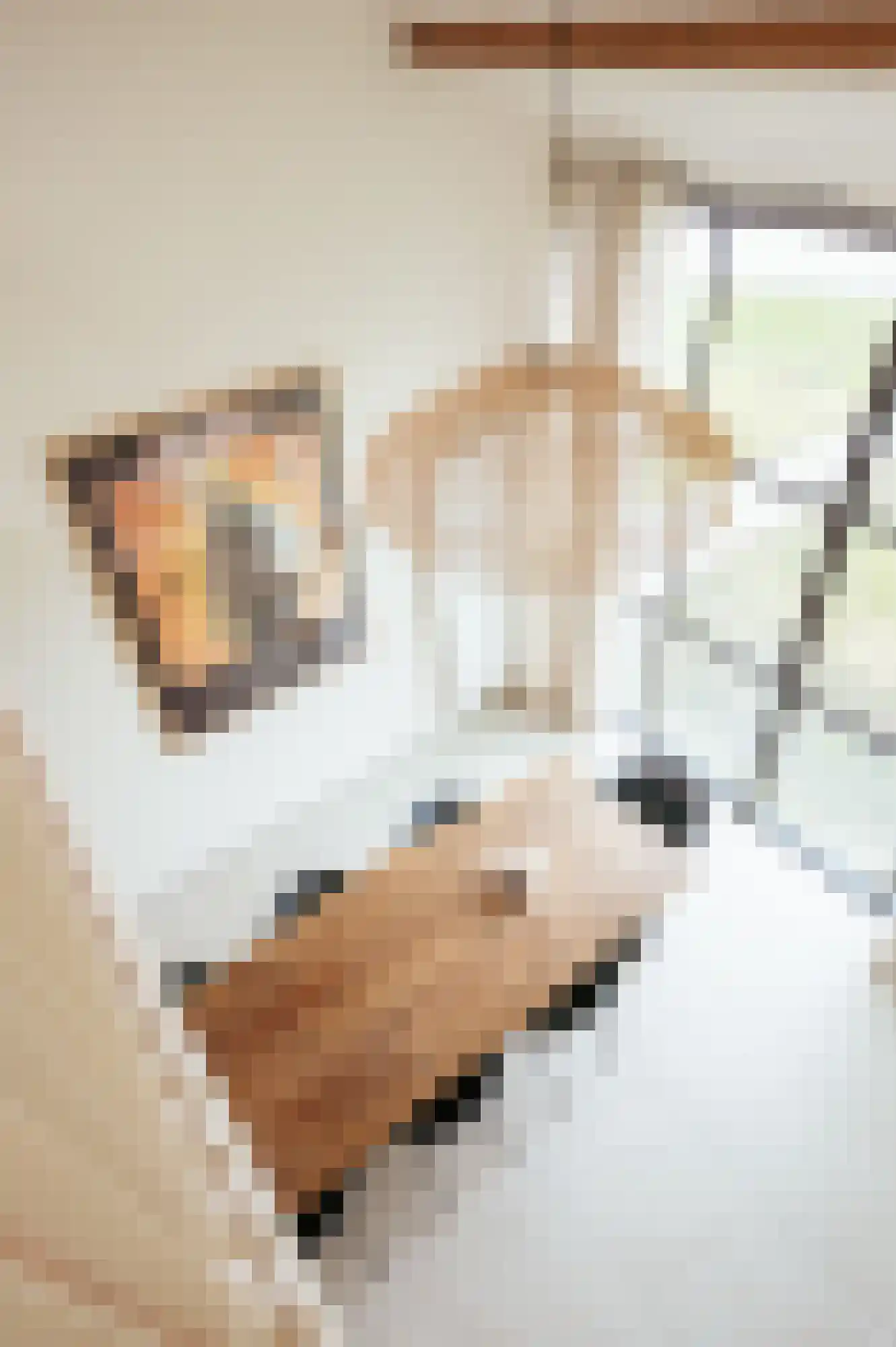 Heilleweg 21 Sluis thumbnail 12