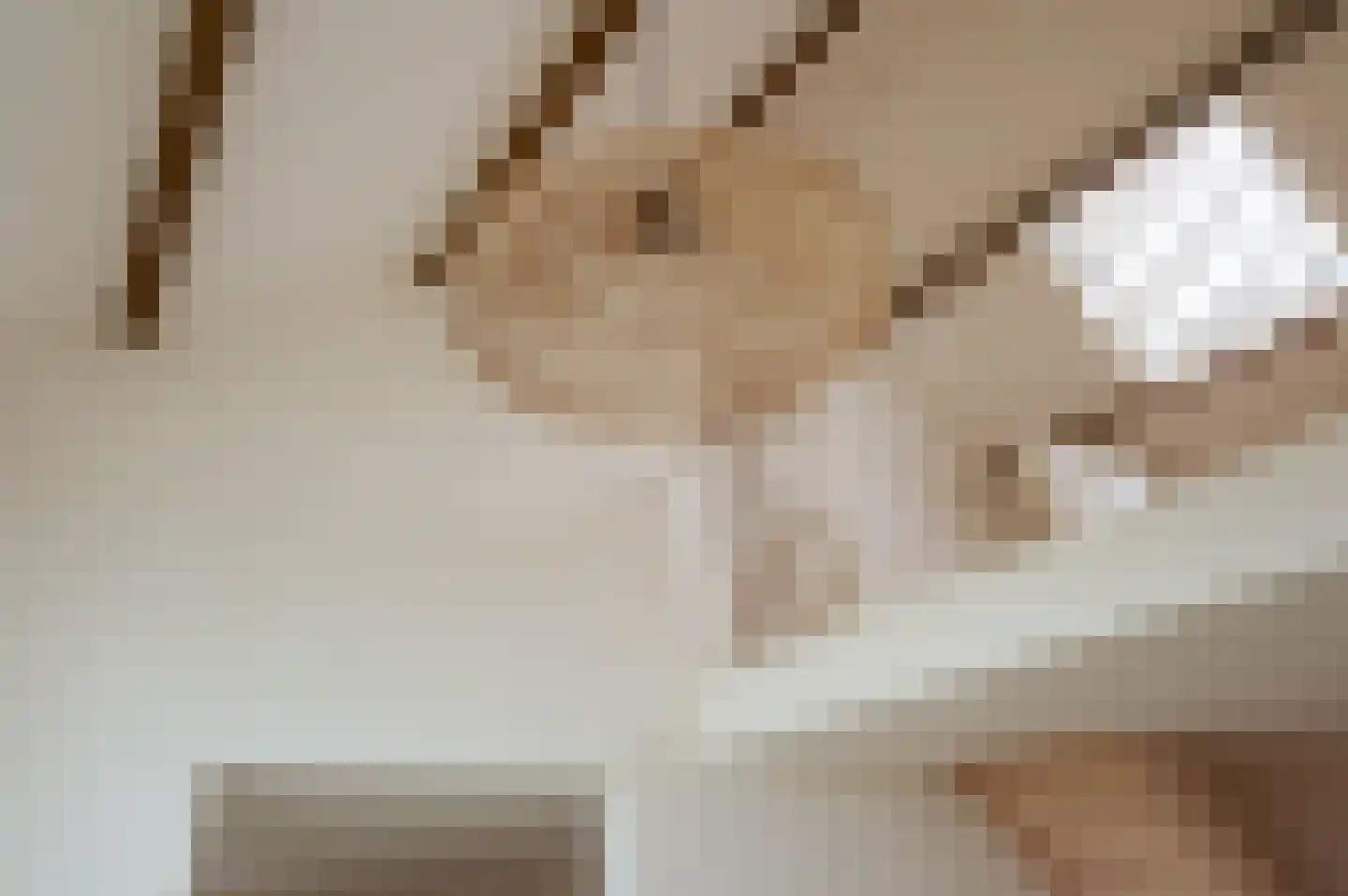 Heilleweg 21 Sluis thumbnail 27