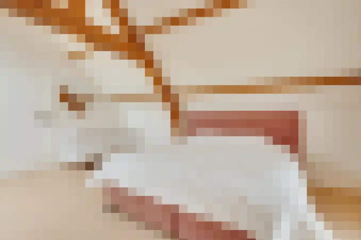 Heilleweg 21 Sluis thumbnail 35