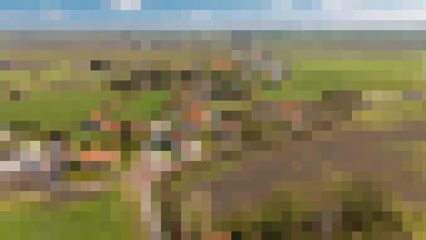 Heilleweg 21 Sluis thumbnail 48