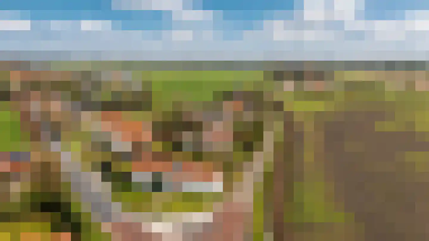 Heilleweg 21 Sluis thumbnail 50