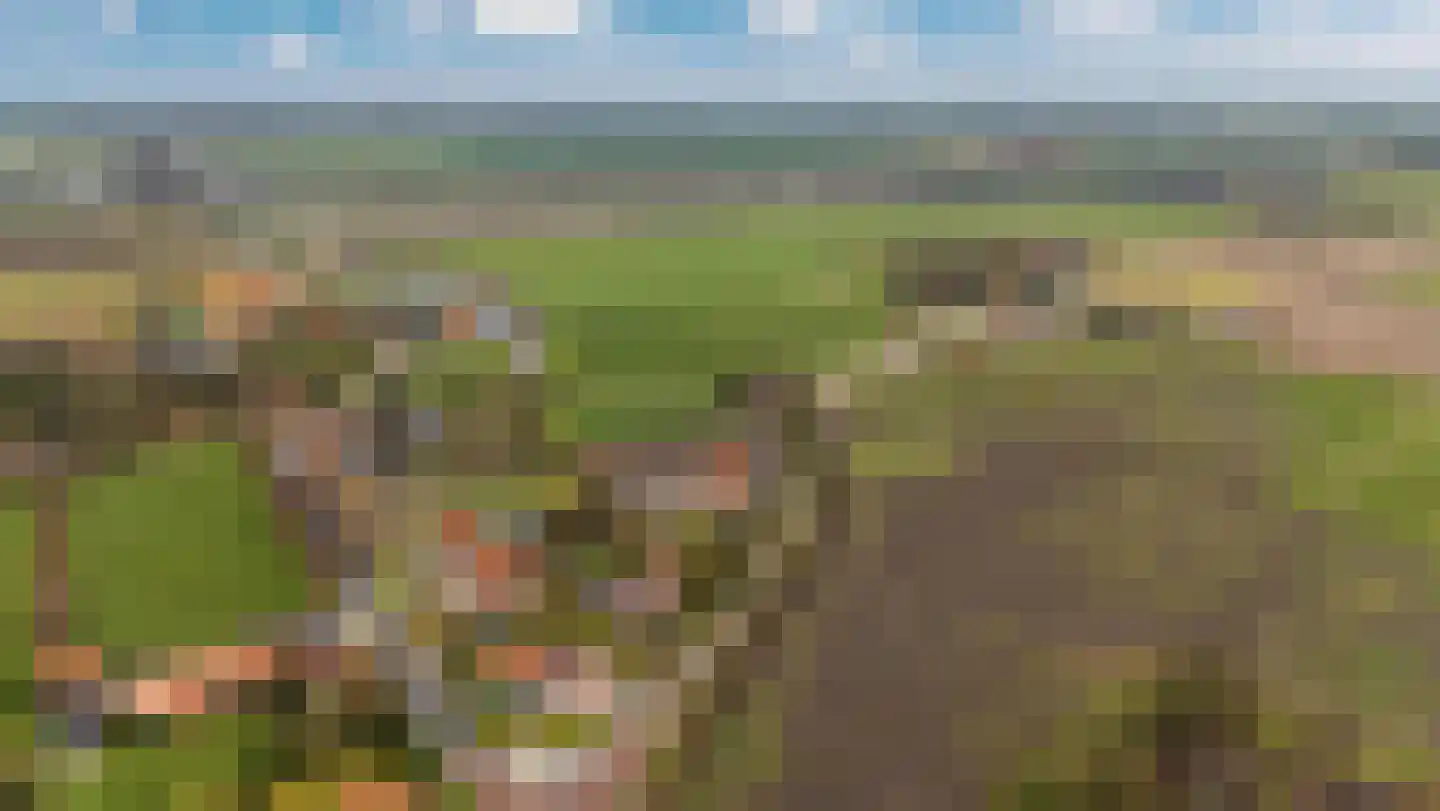 Heilleweg 21 Sluis thumbnail 52