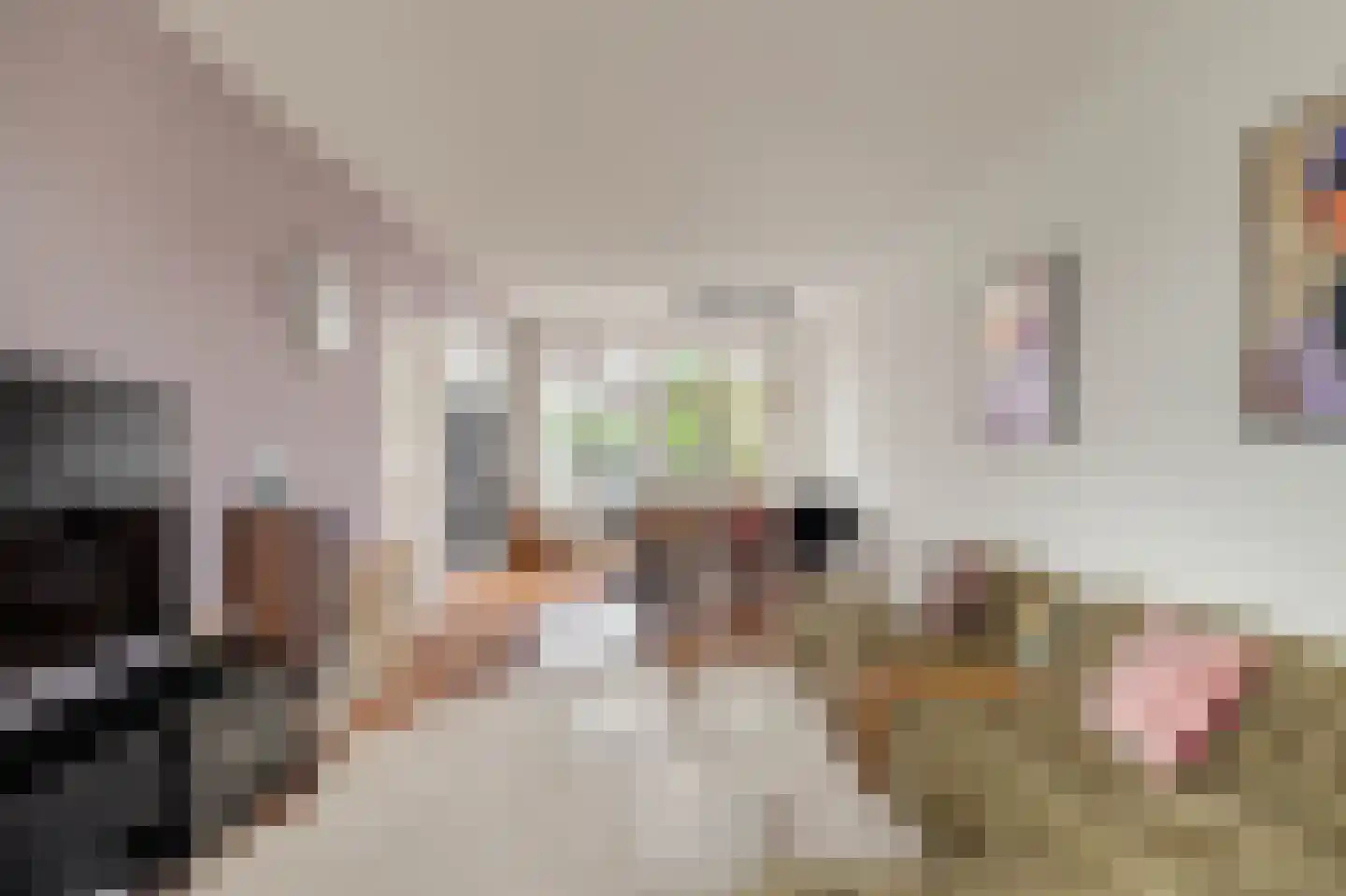 Heilooërdijk 15 Alkmaar thumbnail 11