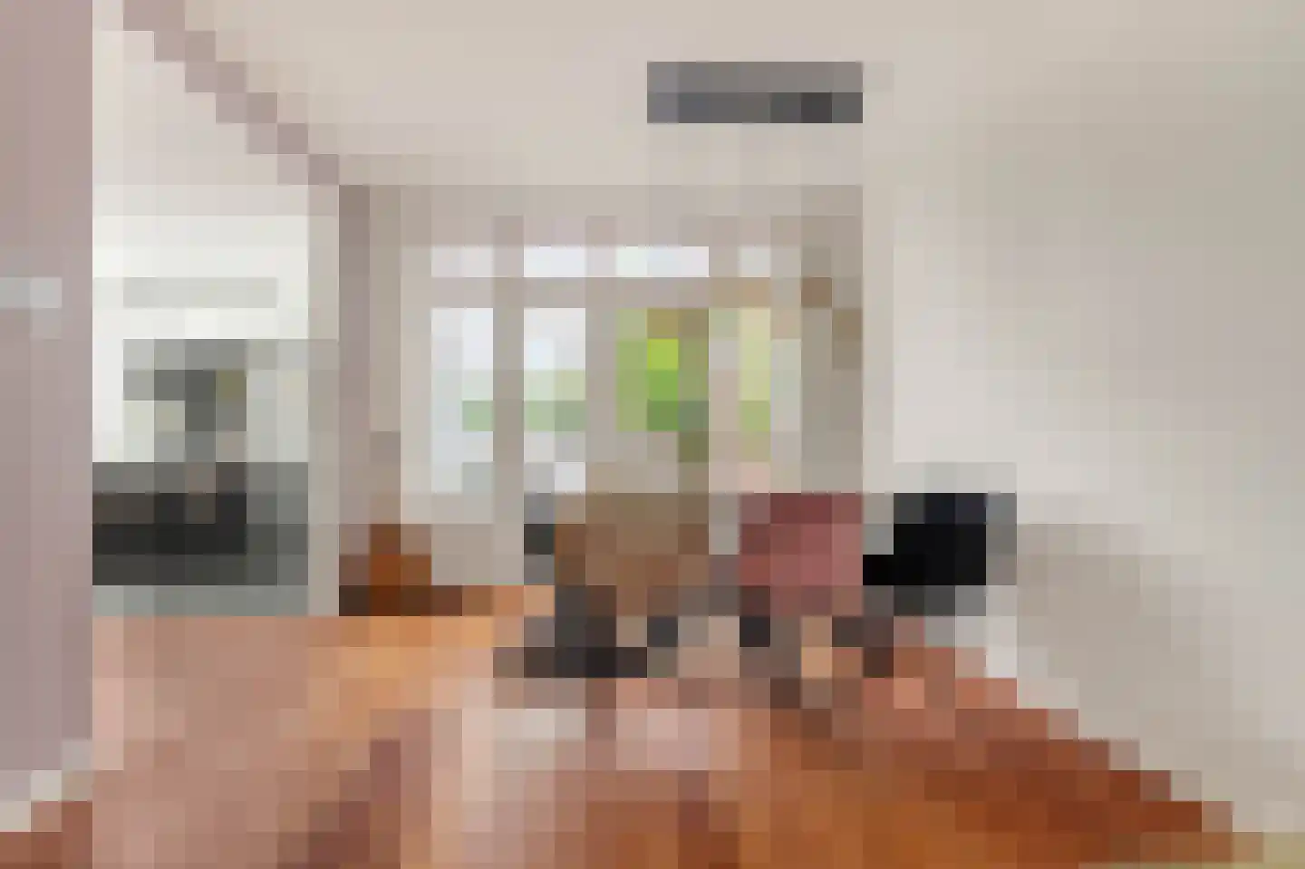 Heilooërdijk 15 Alkmaar thumbnail 12