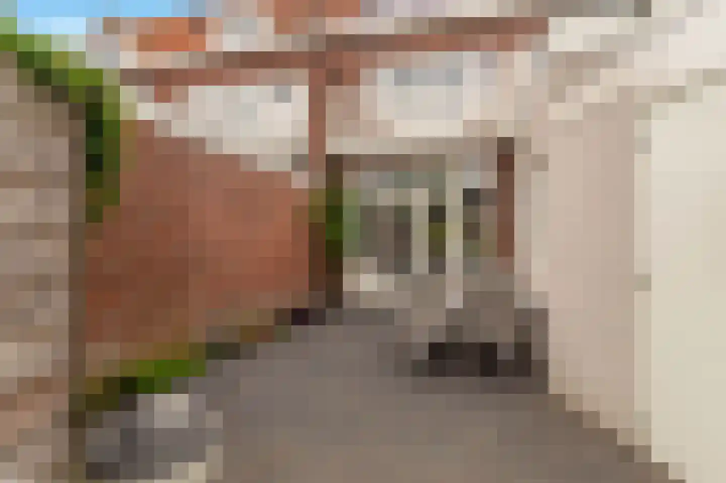 Heilooërdijk 15 Alkmaar thumbnail 16
